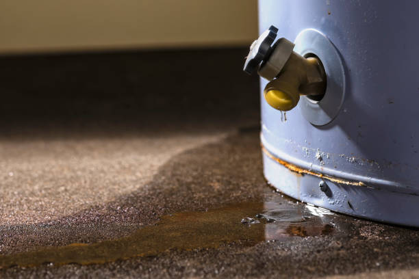 Best Water damage restoration services  in Potomac, MD