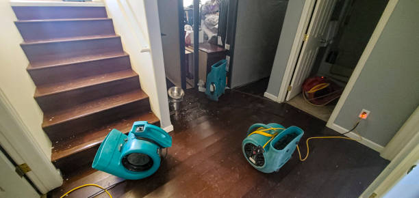 Best Flood restoration services  in Potomac, MD