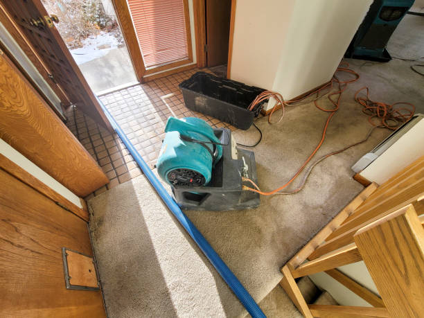 Best Sewage cleanup and water damage restoration  in Potomac, MD