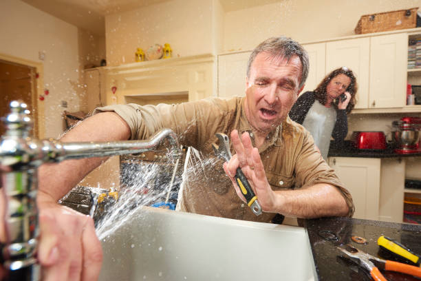 Best Local water damage restoration  in Potomac, MD
